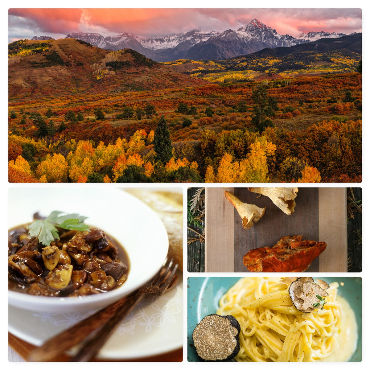 Fall Recipes Using Game, Wild Mushrooms, and Truffles – To-Table