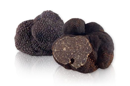 Black_Perigord_Winter_Truffles_525x.jpg?v%5Cu003d1548309187