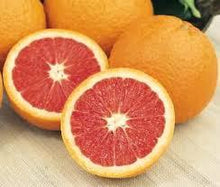 Fresh & Delicious Citrus Fruits from California