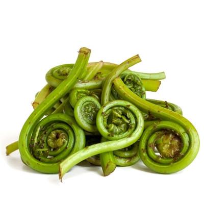 fiddlehead fern plant Foraged Fiddlehead Ferns - The Produce Station