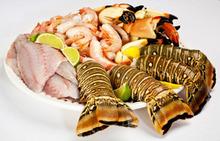 Fresh Seafood Gift Baskets