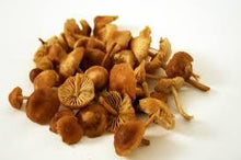 Seasonal, Fresh Wild Foraged Mushroom