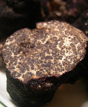 Exotic & Gourmet Truffles for Sale (by the ounce)
