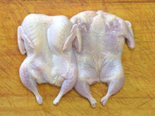 Jumbo Quail from Vermont