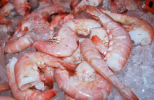 Fresh Florida Shellfish