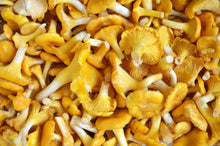 Seasonal, Fresh Wild Foraged Mushroom