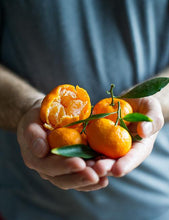 Fresh & Delicious Citrus Fruits from California
