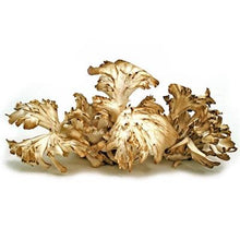 Seasonal, Fresh Wild Foraged Mushroom