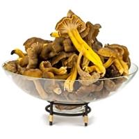 Seasonal, Fresh Wild Foraged Mushroom