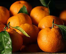 Fresh & Delicious Citrus Fruits from California