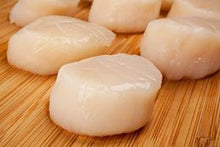 Fresh Florida Shellfish