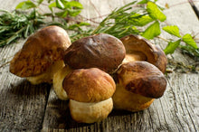 Seasonal, Fresh Wild Foraged Mushroom