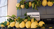 Fresh & Delicious Citrus Fruits from California