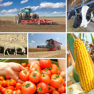 Agricultural Science and Engineering Debated - Food Matters August 2015