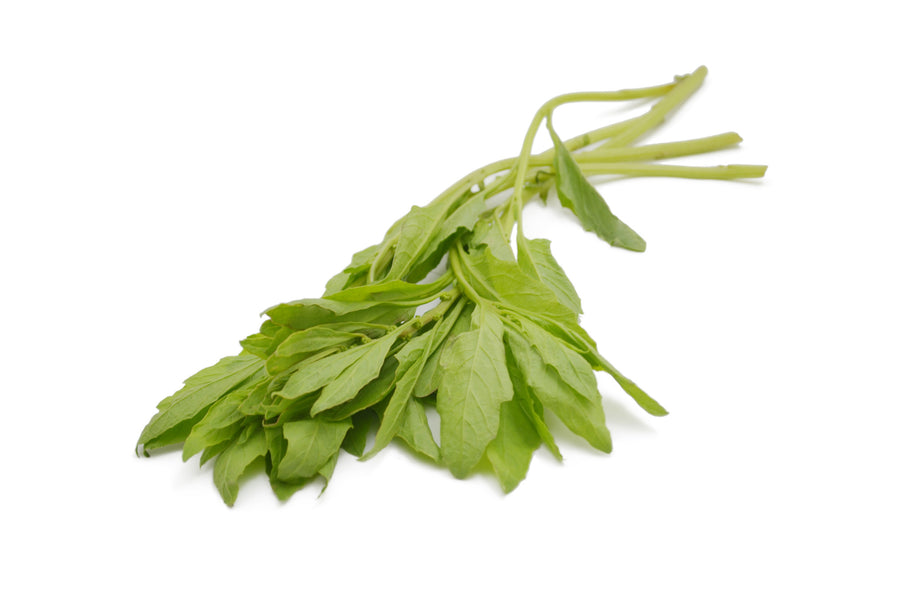 Herb Series: Epazote