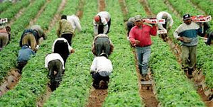 Immigration and the Food Industry