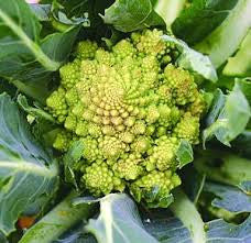 Cauliflower- a better health food than kale