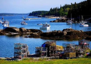 North East Crab, Lobster, shellfish, Haddock, and Dried Seaweed