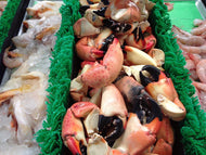Fresh Florida Shellfish