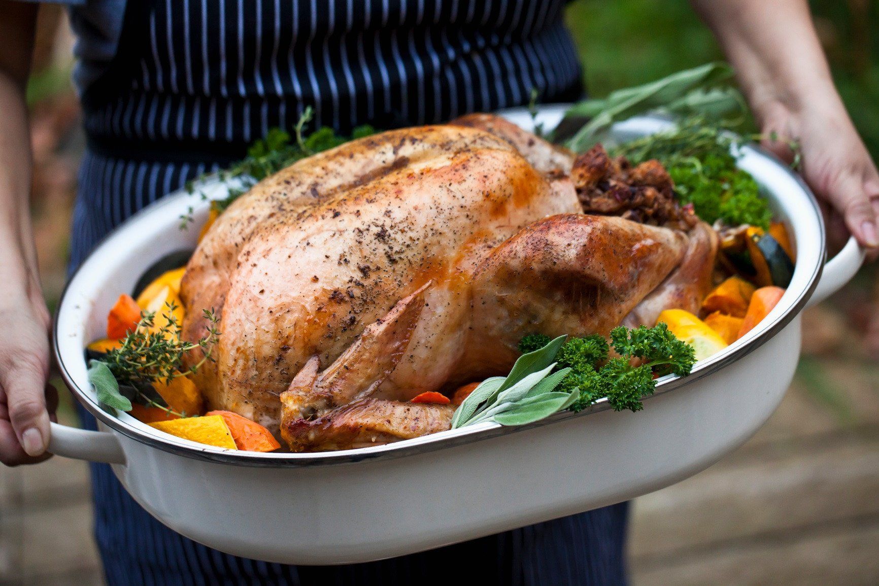 Hutterite Turkey Heritage Turkeys - Pre-Order For Thanksgiving | To-Table