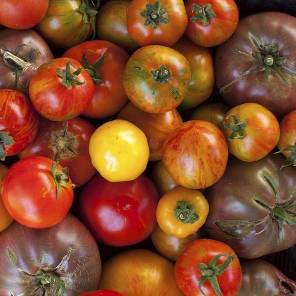 Vine Ripe and Soil Grown Heirloom Tomatoes - Out of Season