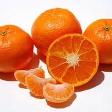 Fresh & Delicious Citrus Fruits from California
