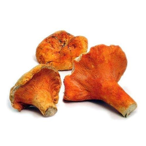 Seasonal, Fresh Wild Foraged Mushroom