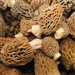 Seasonal Mushroom Package from Pacific Northwest