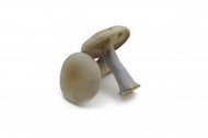 Seasonal Mushroom Package from Pacific Northwest