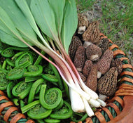 The Spring Trio - Morels, Ramps, & Fiddleheads
