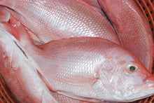 Premium Sushi-Grade Fish Filets