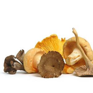 Seasonal, Fresh Wild Foraged Mushroom