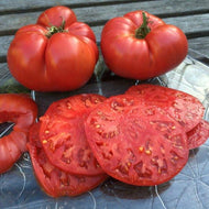 Vine Ripe and Soil Grown Heirloom Tomatoes - Out of Season