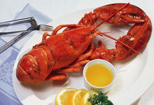Live Lobster from Maine